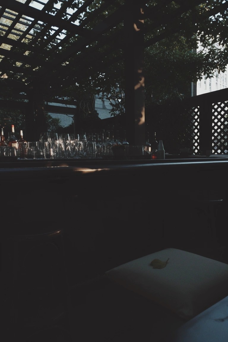 Dark bar with glassware and bottles under vine-covered pergola and lattice screens