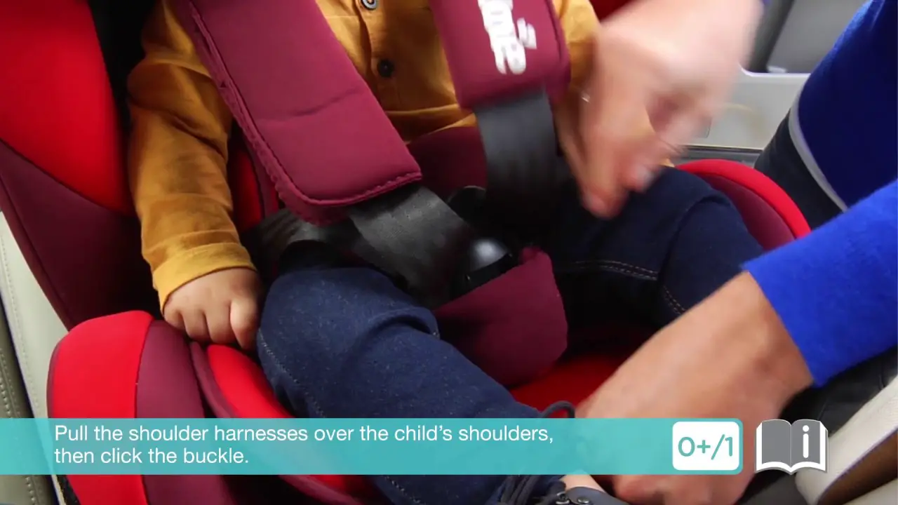 How Do You Adjust The Straps On A Joie Car Seat? Read The Answer